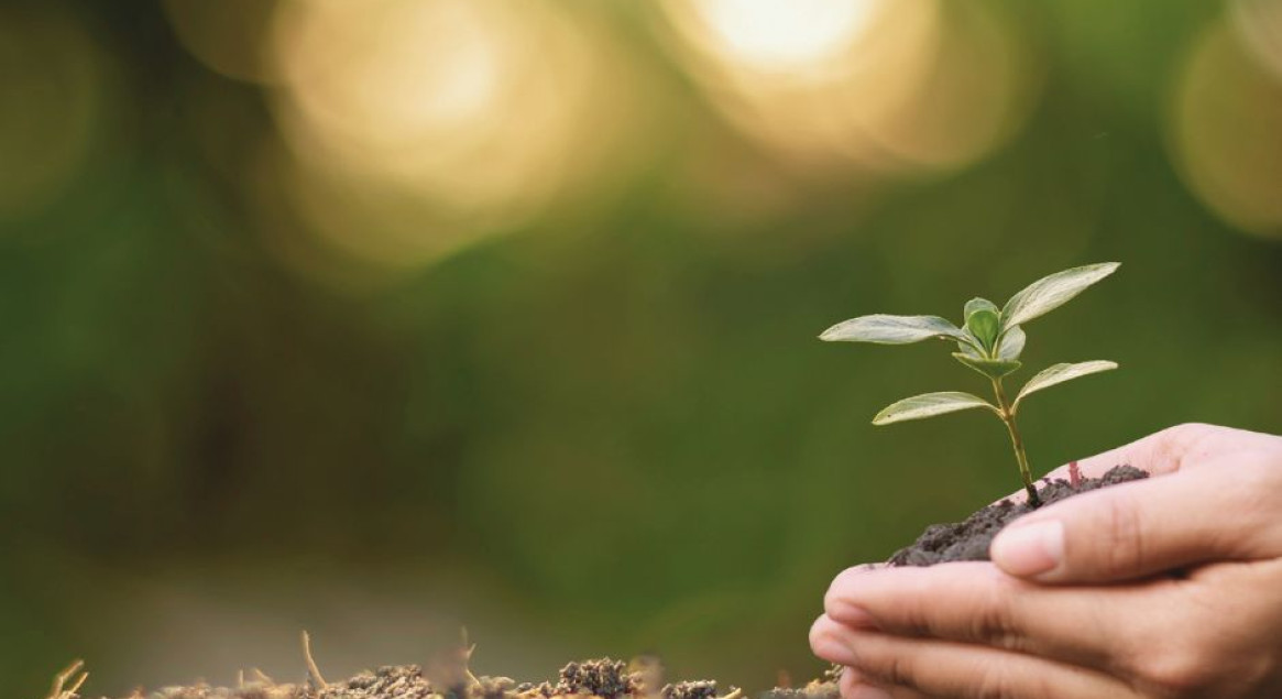 ΜΜΕ: Αειφορία Ανάπτυξη και Διατηρησιμότητα - Κίνδυνοι μη Επιβίωσης
