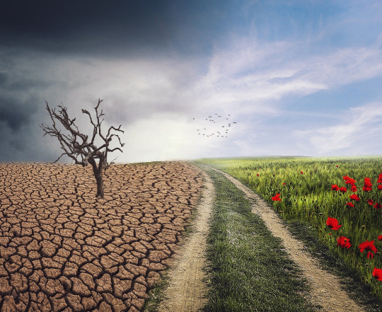 Η έρευνα της McKinsie για την κλιματική αλλαγή