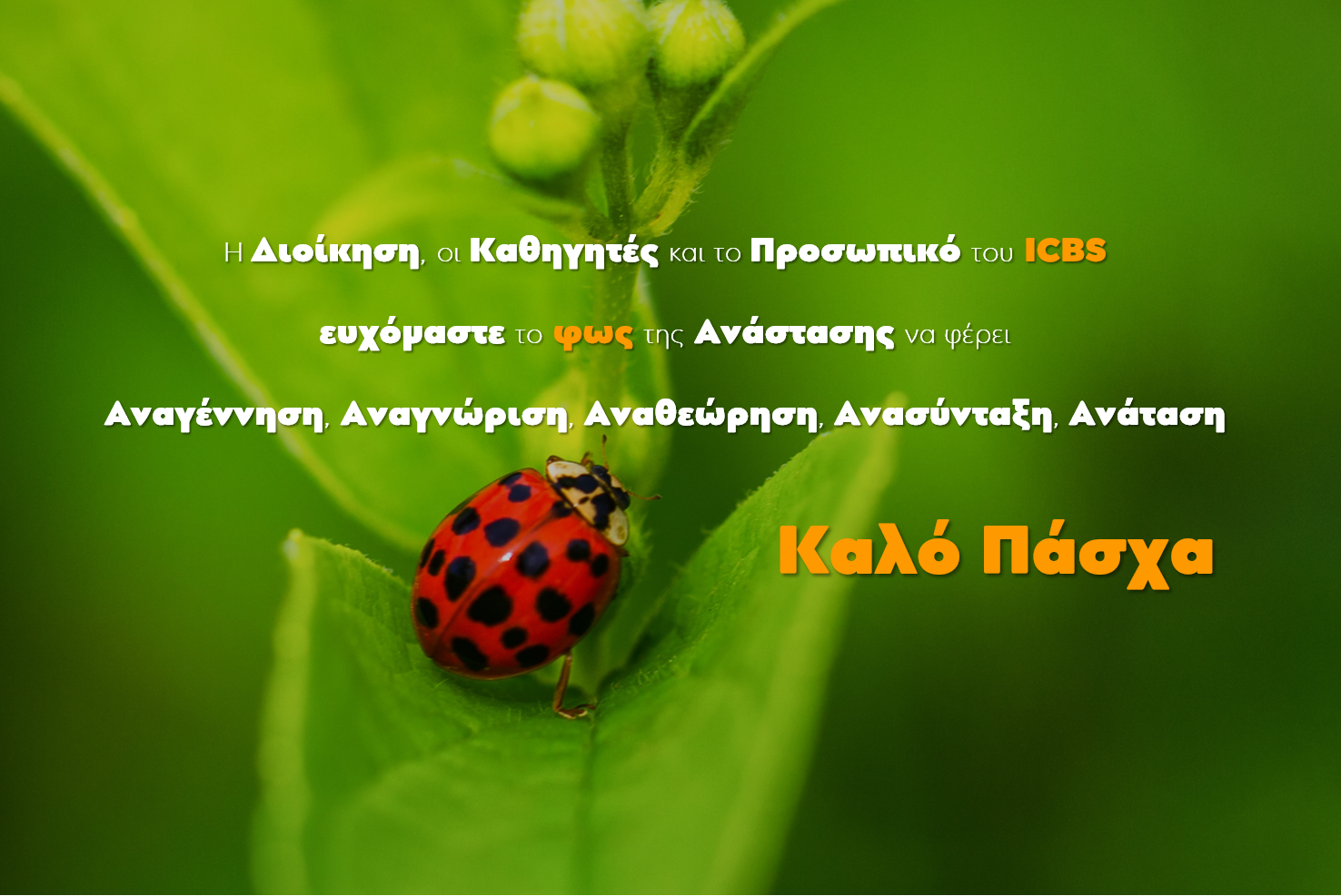 Καλή Ανάσταση!